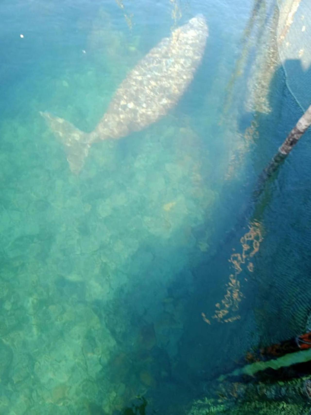 Pondok Wisata Noah Likupang Exteriér fotografie